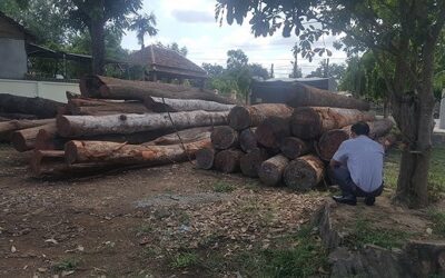 Phượng ‘Râu’ và Vụ Đại Án Phá Rừng Lớn Nhất Lịch Sử Đắk Nông