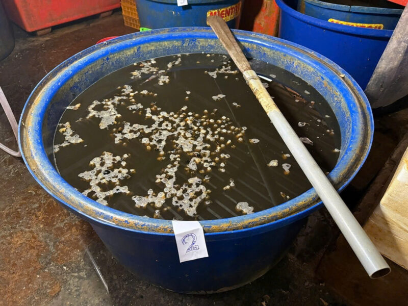 Cơ sở chế biến thịt ốc ngâm hóa chất của Huỳnh Văn Trường Cơ sở chế biến thịt ốc ngâm hóa chất của Huỳnh Văn Trường