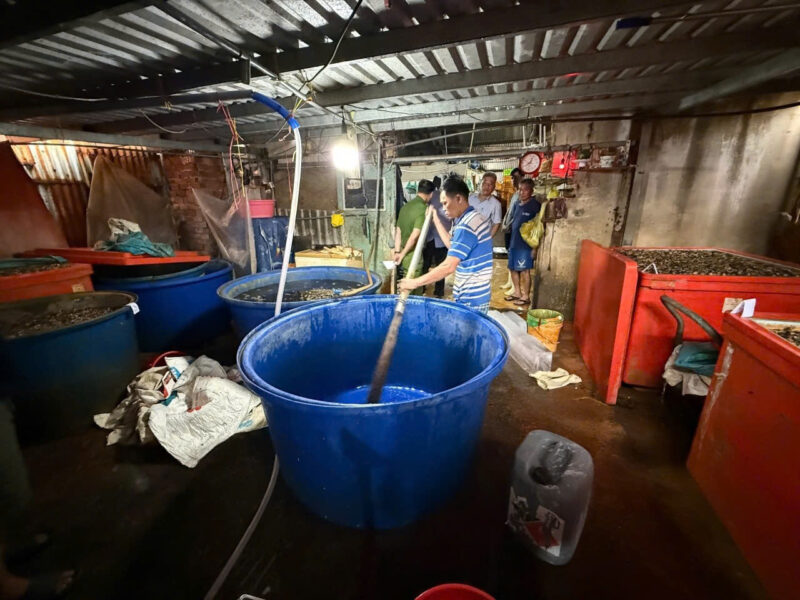 Cơ sở chế biến thịt ốc ngâm hóa chất của Huỳnh Văn Trường Cơ sở chế biến thịt ốc ngâm hóa chất của Huỳnh Văn Trường