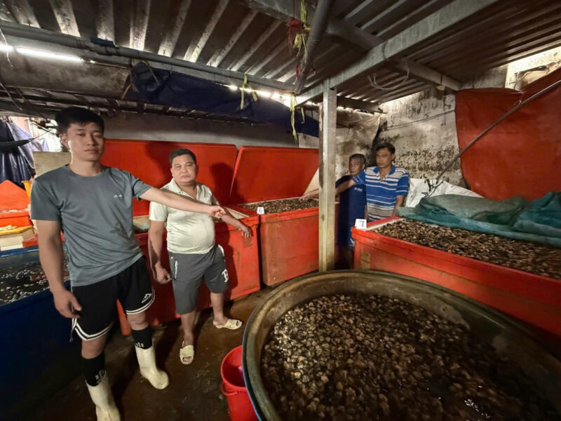 Cơ sở chế biến thịt ốc ngâm hóa chất của Huỳnh Văn Trường Cơ sở chế biến thịt ốc ngâm hóa chất của Huỳnh Văn Trường